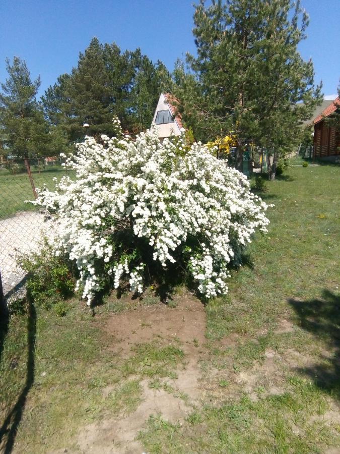 Apartman Marija Zlatibor Dış mekan fotoğraf