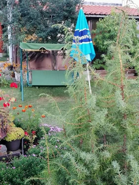 Apartman Marija Zlatibor Dış mekan fotoğraf
