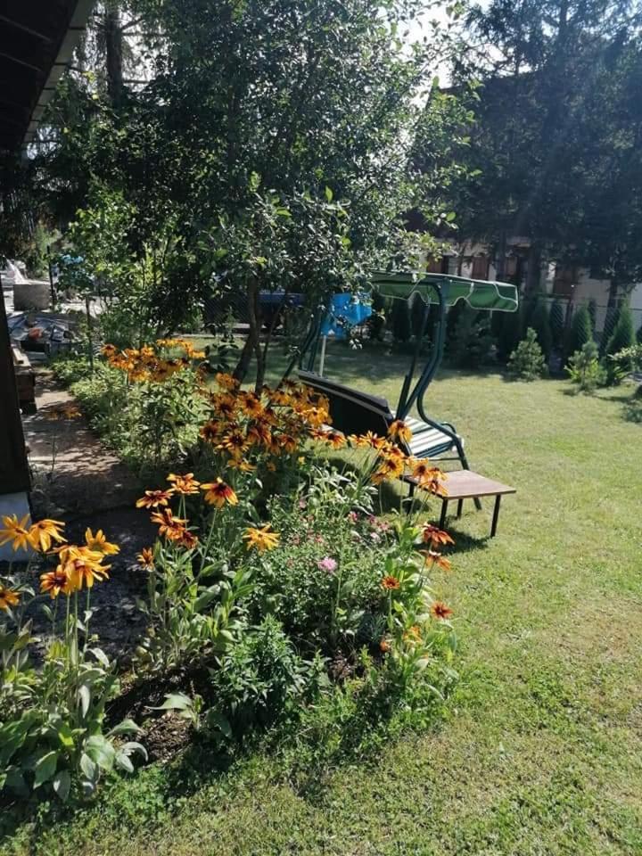 Apartman Marija Zlatibor Dış mekan fotoğraf
