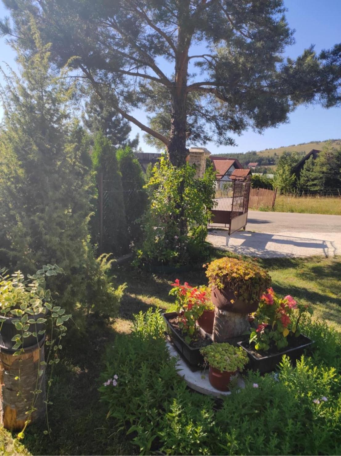 Apartman Marija Zlatibor Dış mekan fotoğraf